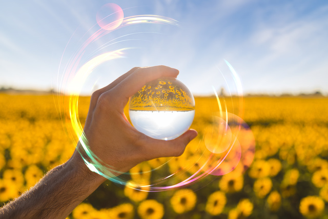 Eine Hand hält eine Glaskugel, in der sich der Hintergrund – ein Feld voller Sonnenblumen – auf dem Kopf spiegelt.